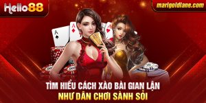 Tìm hiểu cách xào bài gian lận như dân chơi sành sỏi