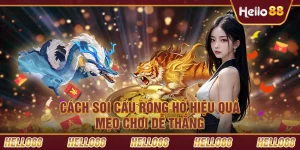 Cách soi cầu rồng hổ – Mẹo chơi dễ thắng