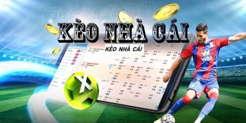 Mẹo phân tích kèo để đạt kết quả cược tốt nhất