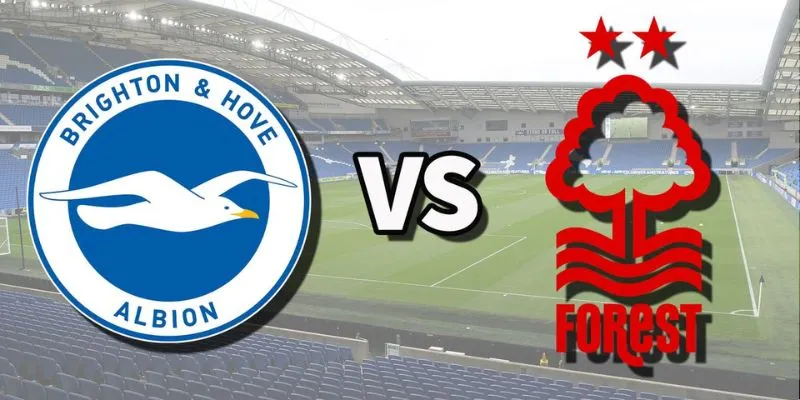 Tìm hiểu về trận đấu Nottingham Forest vs Brighton Hove Albion